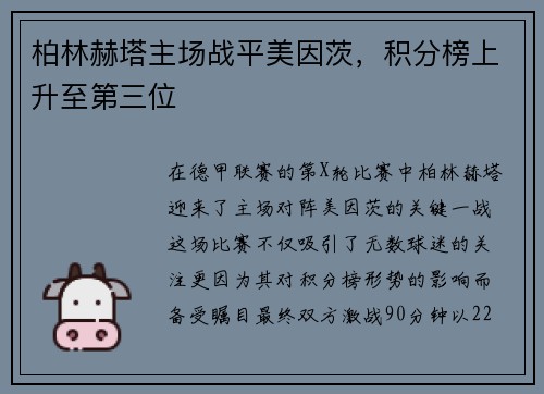 柏林赫塔主场战平美因茨，积分榜上升至第三位
