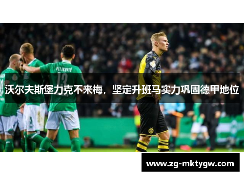 沃尔夫斯堡力克不来梅,坚定升班马实力巩固德甲地位